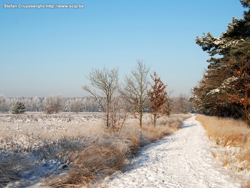 Lommel during winter time A few photos from different spots in Lommel during the snow white but ice cold second week of 2009. Stefan Cruysberghs